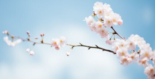 4 квітня: це цікаво знати