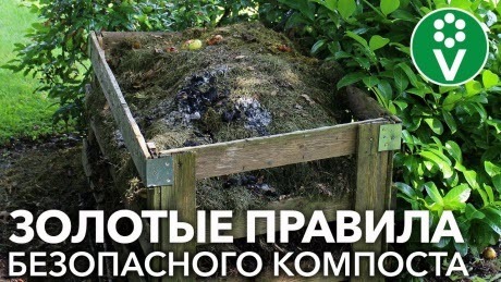 В КОМПОСТ МОЖНО КЛАСТЬ ВСЁ, если следовать ЭТИМ простым правилам