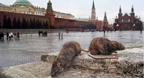 СYNIC: Кремль приказал заткнуть "левых"