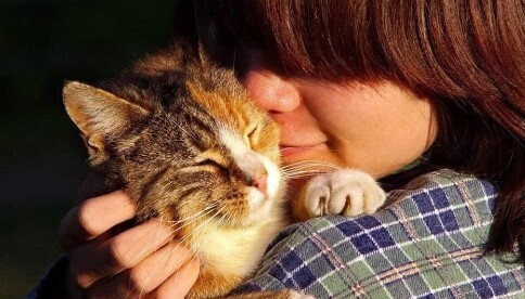 Канун нового года