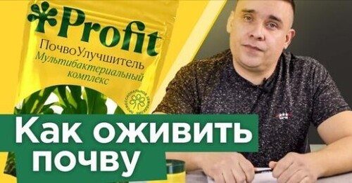 ВОТ ПОЧЕМУ РАНЬШЕ ВСЕ РОСЛО И ПЛОДОНОСИЛО БЕЗ ВСЯКИХ ПРЕПАРАТОВ! Разбираем причины истощения почвы