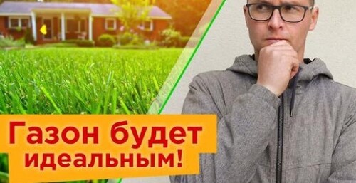 СУПЕР ГАЗОН НАЧИНАЕТСЯ С ВЕСНЫ! 3 важных действия весной, для идеального изумрудно-зеленого газона