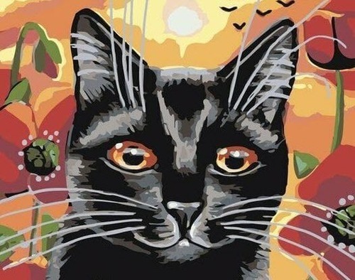 Маковое поле