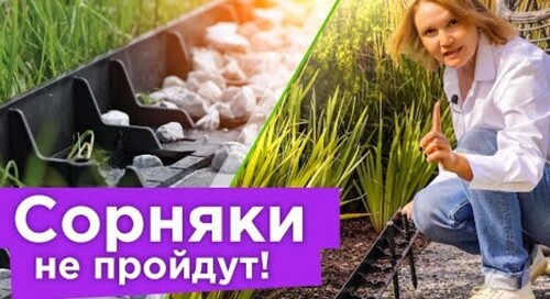 ЦВЕТНИК БЕЗ СОРНЯКОВ ЭТО РЕАЛЬНО! 2 приема для создания малоуходного цветника