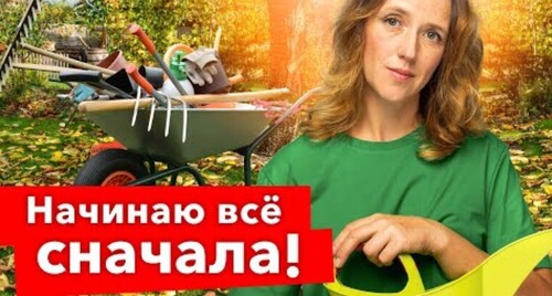 ТАКУЮ ПОЧВУ ХОТЬ ЛОЖКОЙ ЕШЬ! Начинаю с нуля засаживать участок, что важно успеть до зимы?