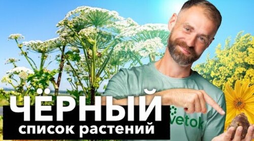 7 РАСТЕНИЙ-АГРЕССОРОВ, которые захватят ваш сад со скоростью света! Проверьте не растут ли у вас